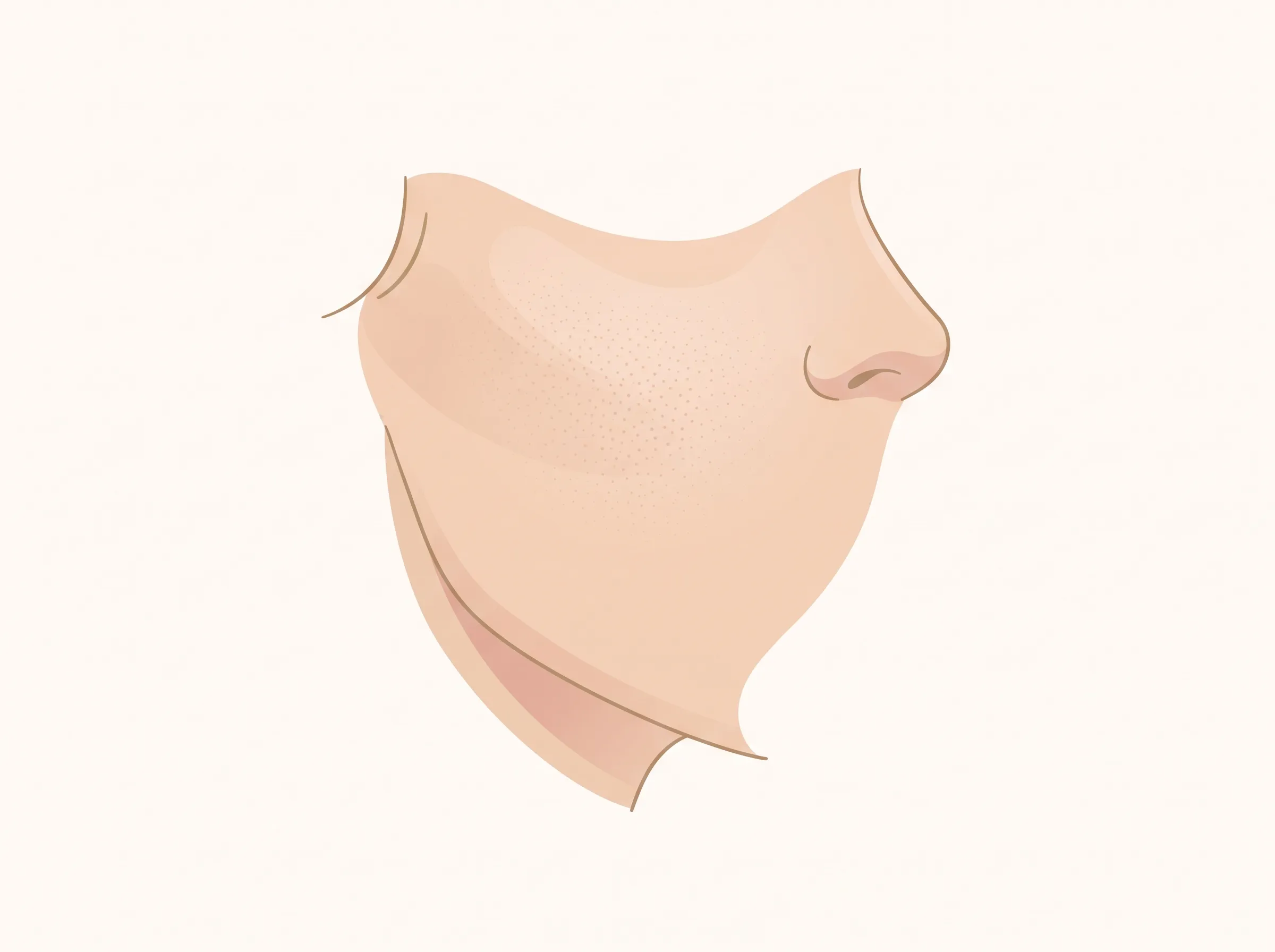 頬から小鼻にかけての肌の質感と毛穴を描いた上品なクローズアップイラスト