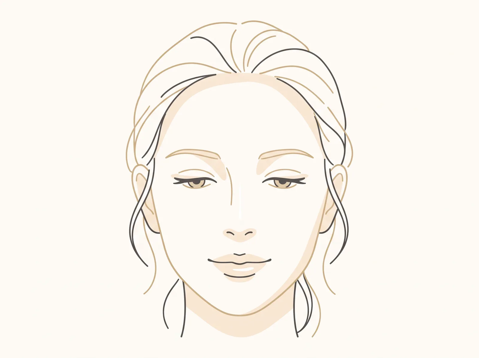 表情筋の動きがやわらいだ、穏やかで落ち着いた表情のイメージイラスト