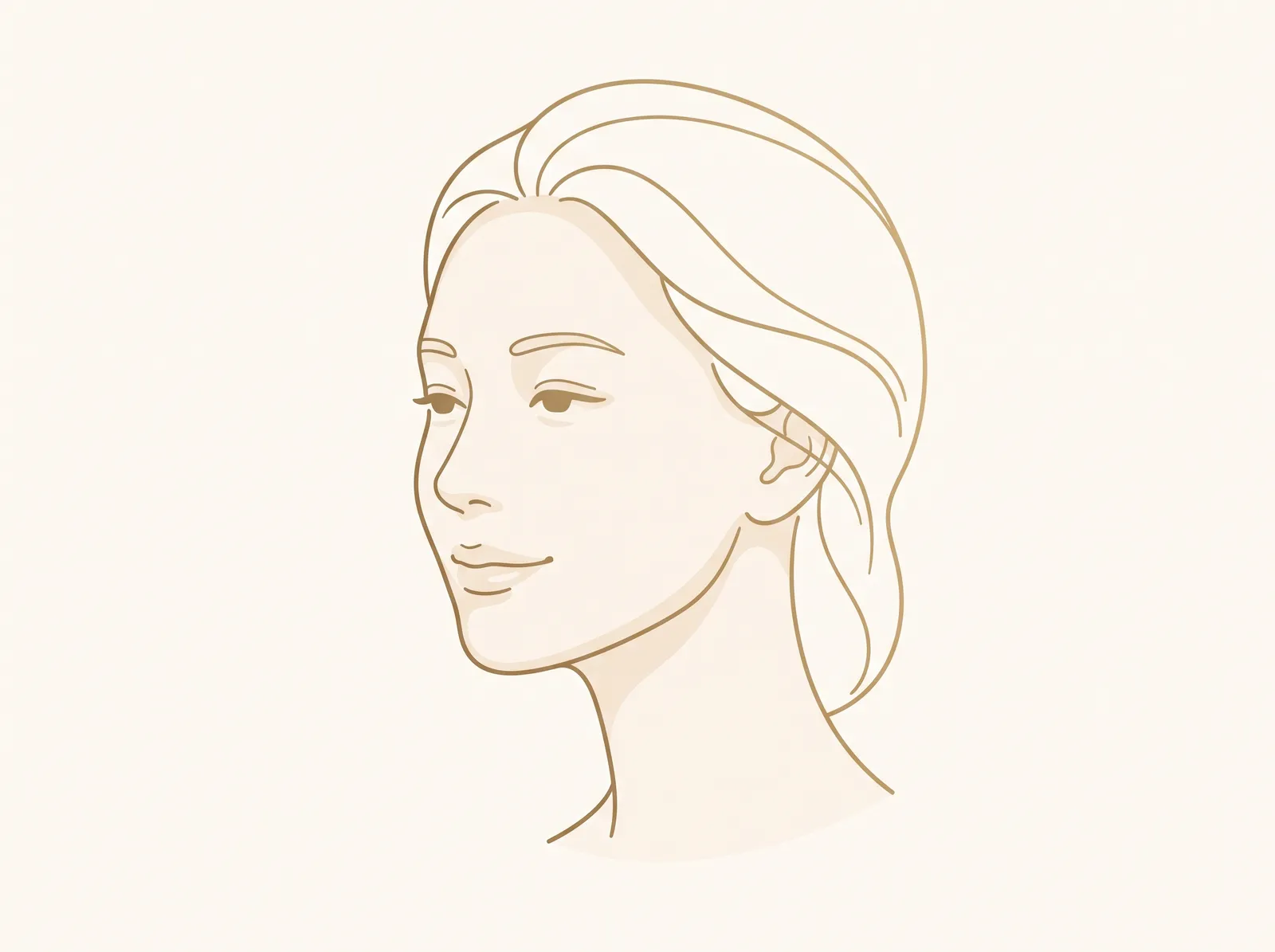 頬やフェイスラインがやわらかく整った横顔のイメージイラスト